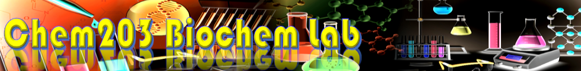 CHEM203 Biochemistry-Lab N1/N2/N3/N5