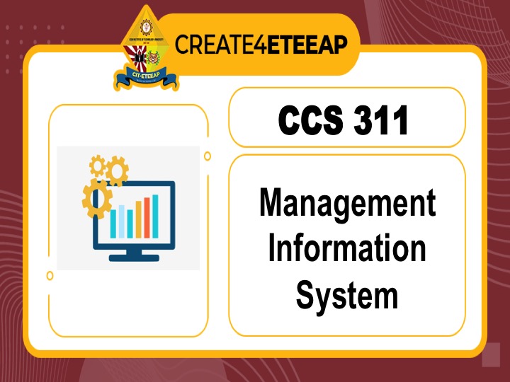 CCS 311 - Management Information Systems