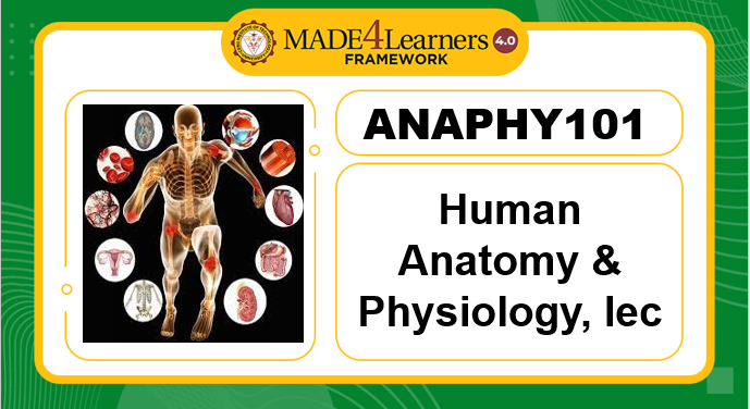 ANAPHY131 ANATOMY &amp; PHYSIOLOGY LEC (E4-C1-AP3)