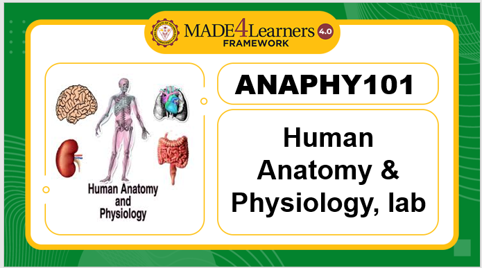 ANAPHY101 ANATOMY &amp;PHYSIOLOGY LAB (E4-C2-AP5)