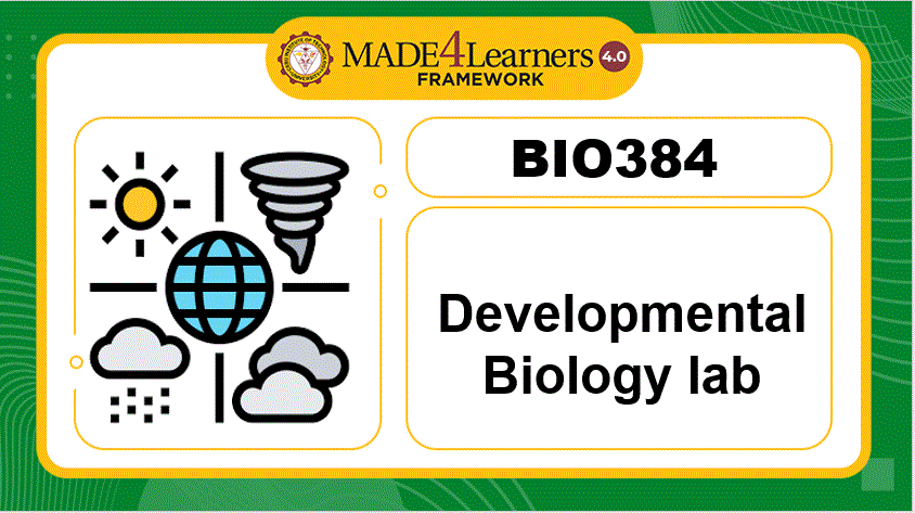 ###BIO384 Developmental Biology lab (E3-AP4)