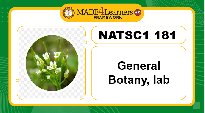 NATSCI181- General Botany laboratory(E1,E3.E4.E5-AP4)