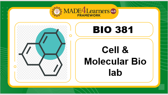 BIO381-Cell &amp; Molecular Biology laboratory (E3.I1/J1-AP4)