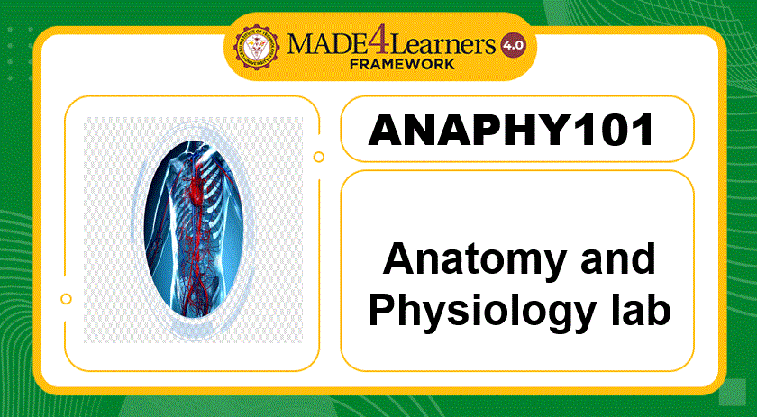ANAPHY101- Anatomy and Physiology laboratory  (E1.E4/I1/J1-AP4)